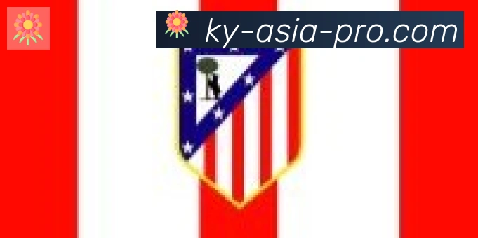 开云合作伙伴